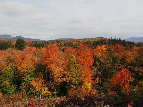 Fall in the Kancamagus Scenic Byway #18