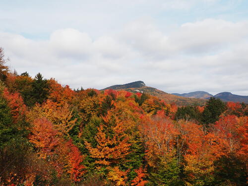 Fall in the Kancamagus Scenic Byway #19
