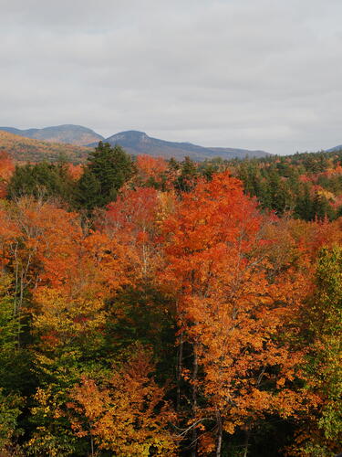 Fall in the Kancamagus Scenic Byway #21