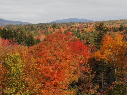 Fall in the Kancamagus Scenic Byway #22