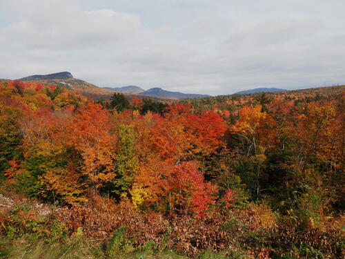 Fall in the Kancamagus Scenic Byway #23