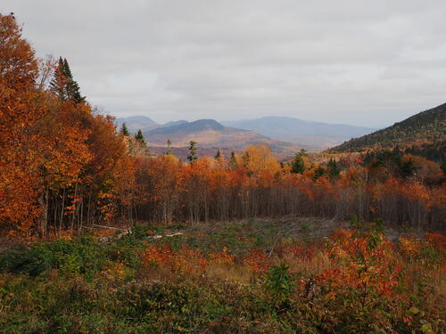 Fall in the Kancamagus Scenic Byway #24