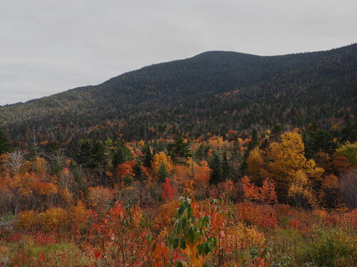 Fall in the Kancamagus Scenic Byway #26