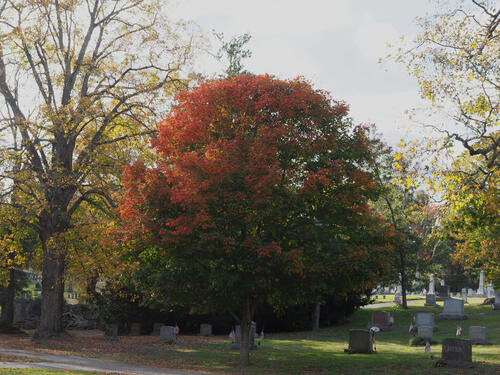 West Parish Garden Cemetery in fall #4