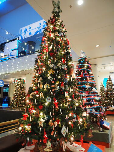 Norway Christmas tree