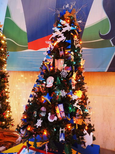 Bosna and Herzegovina Christmas Tree