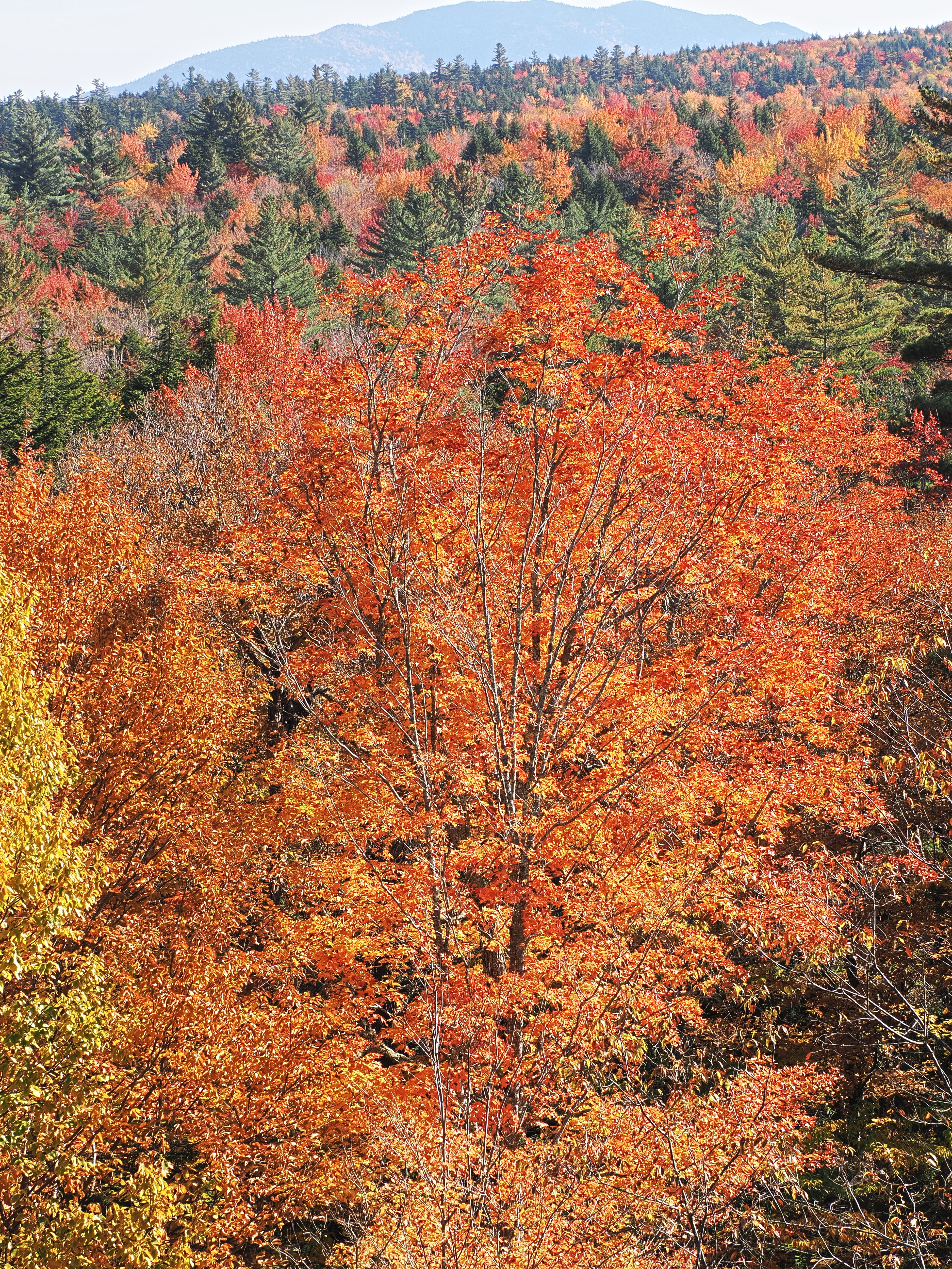 Fall colors at the Kancamagus Scenic Byway #20