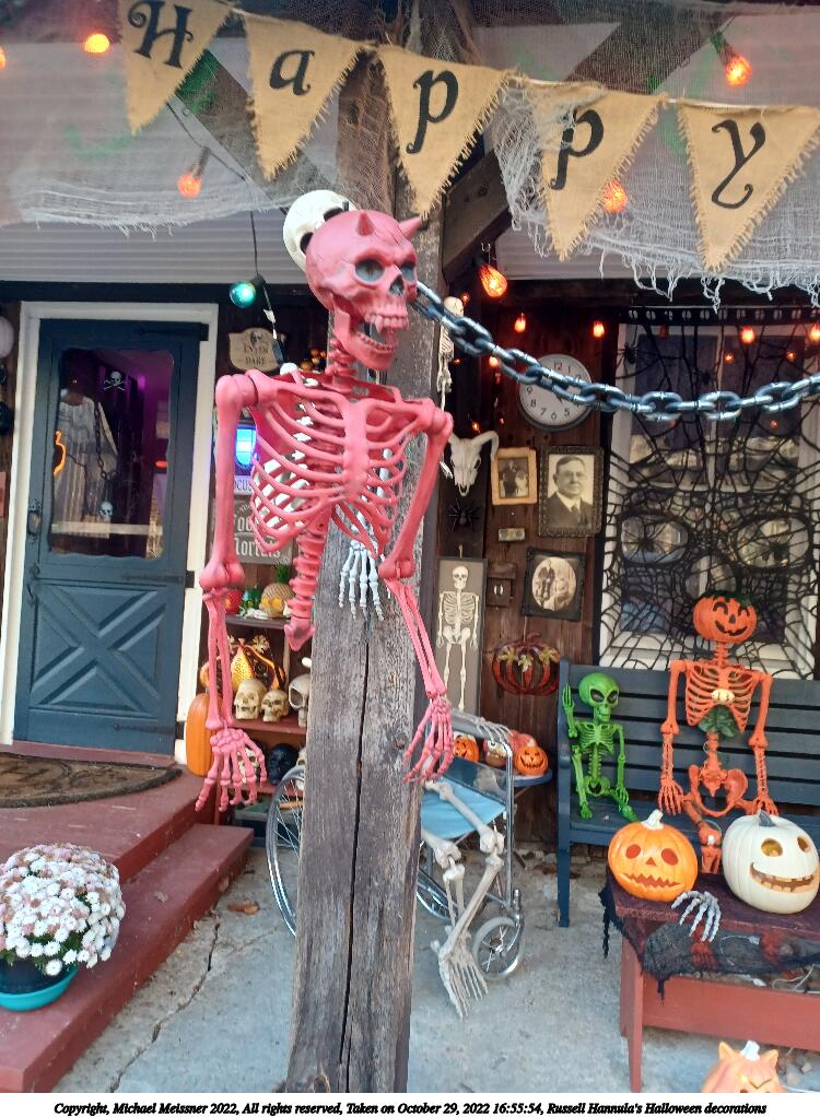 Russell Hannula's Halloween decorations #14