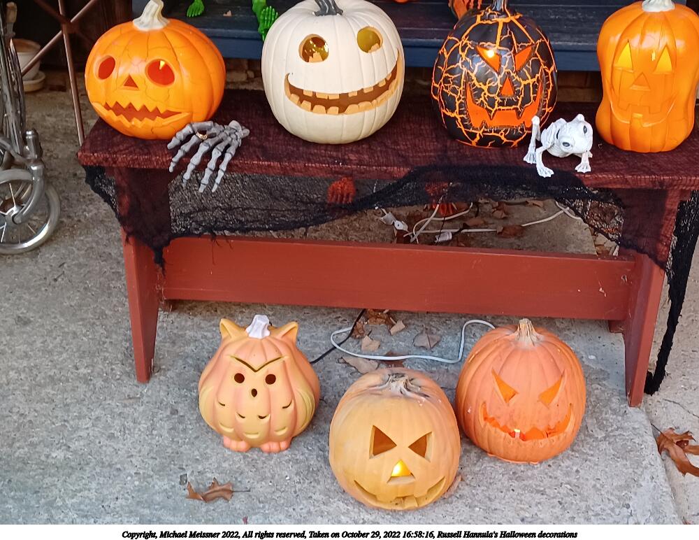 Russell Hannula's Halloween decorations #20