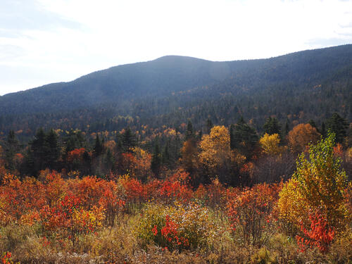 Fall colors at the Kancamagus Scenic Byway #12