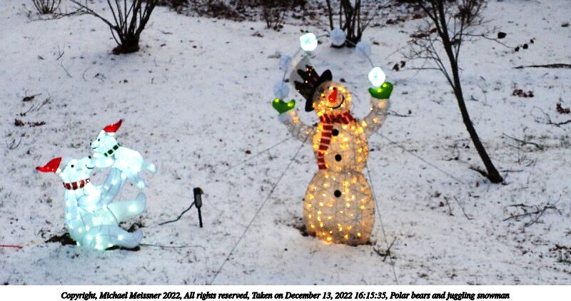 Polar bears and juggling snowman #2