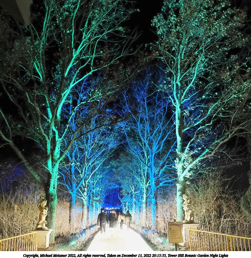 Tower Hill Botanic Garden Night Lights #9