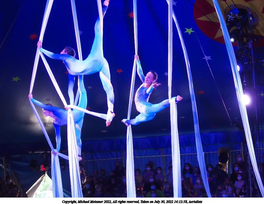 Aerialists #3