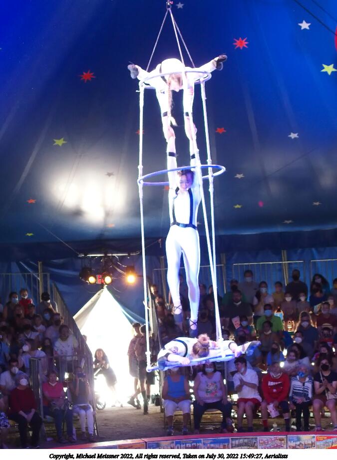 Aerialists #20