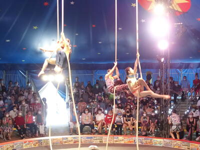 Aerialists #17