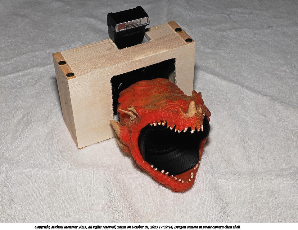 Dragon camera in pirate camera chest shell