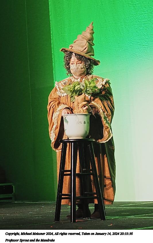 Professor Sprout and the Mandrake
