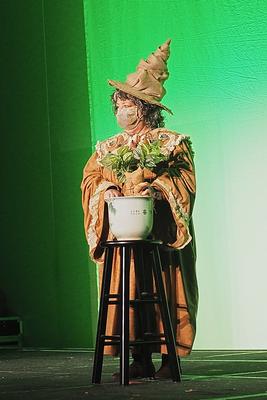 Professor Sprout and the Mandrake #2