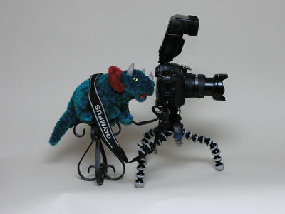 Dinosaur camera (E-1)