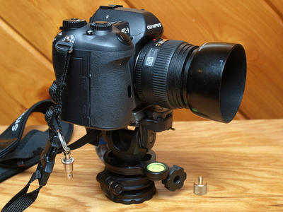 E-1/50mm + Acratech leveling base + Manfrotto 234RC