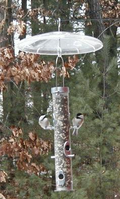 Bird feeder #13