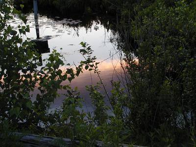 Sunset in pond #2