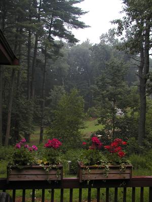 View from our deck of fog after a rainstorm #3