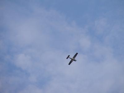 Airplane over Acton Arboretum