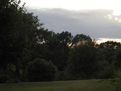 Sunset over Acton Arboretum