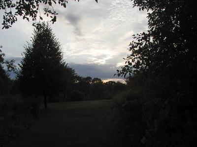 Sunset and clouds over Acton Arboretum #2