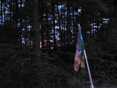 Sunset through the trees #2