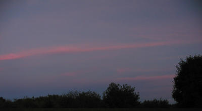Sunset over Acton Arboretum