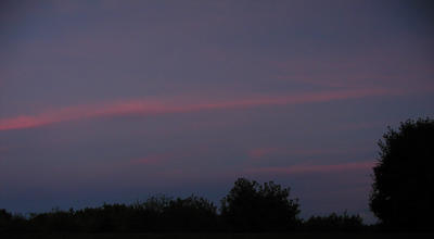 Sunset over Acton Arboretum #2