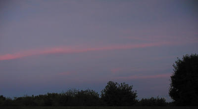 Sunset over Acton Arboretum #3