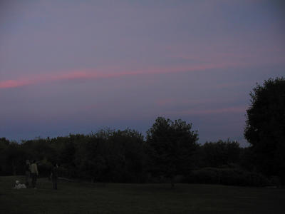 Sunset over Acton Arboretum #4