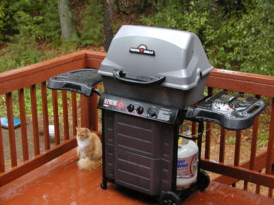 Fortunately, this grill doubles as an umbrella