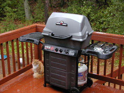Fortunately, this grill doubles as an umbrella #2