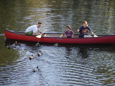 Canoe and ducks at the north bridge #3