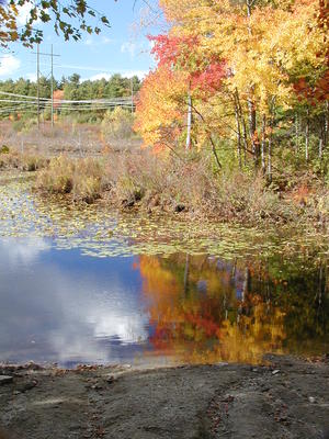 Spectacle pond in fall #2