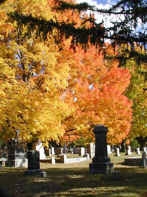 Cemetery in fall