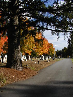 Cemetery in fall #4
