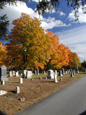 Cemetery in fall #6