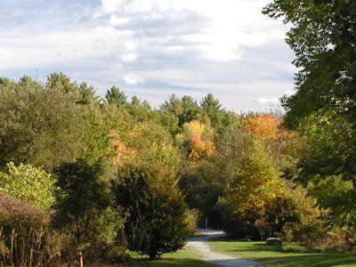 Acton Arboretum
