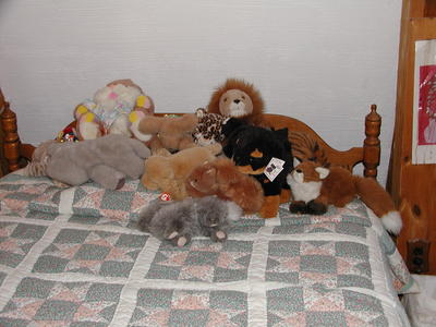Lizzie's stuffed animals #2