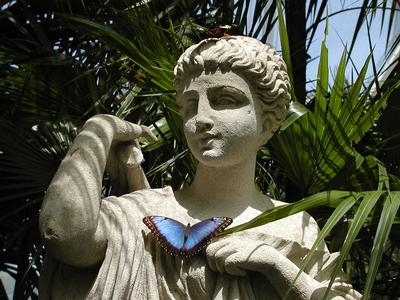 Butterfly on statue