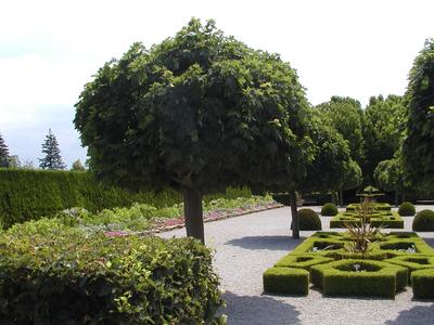 Botanical garden picture #3