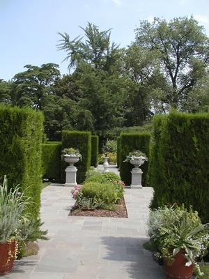 Botanical garden picture #8