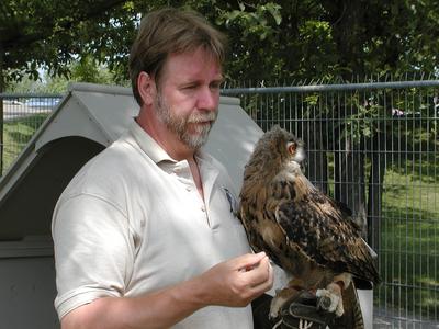 European eagle owl #4