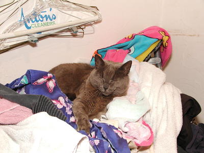 So much for clean clothes
