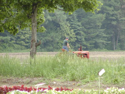 Farmer plowing the fields